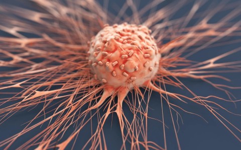 Kas yra vėžio žymuo?